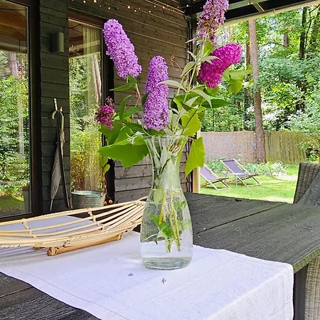 펜션 Kleine Auszeit - Im Gruenen 바트 자로