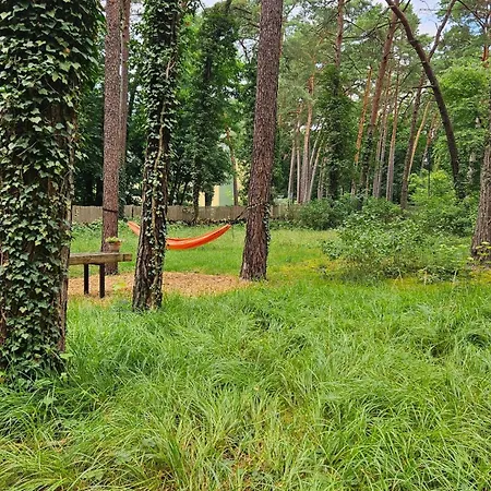 Feriehus Kleine Auszeit - Im Gruenen *