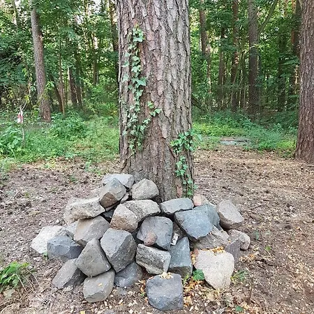 Kleine Auszeit - Im Gruenen 펜션 바트 자로
