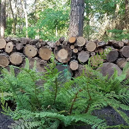 Kleine Auszeit - Im Gruenen *