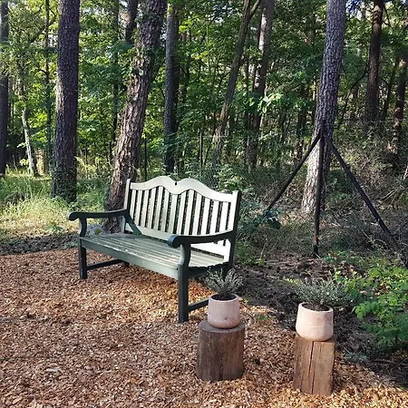 Kleine Auszeit - Im Gruenen *