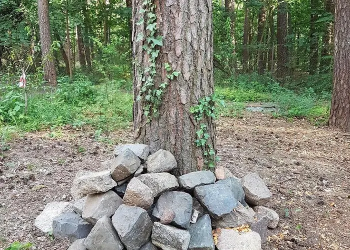 Kleine Auszeit - Im Gruenen Feriehus Bad Saarow