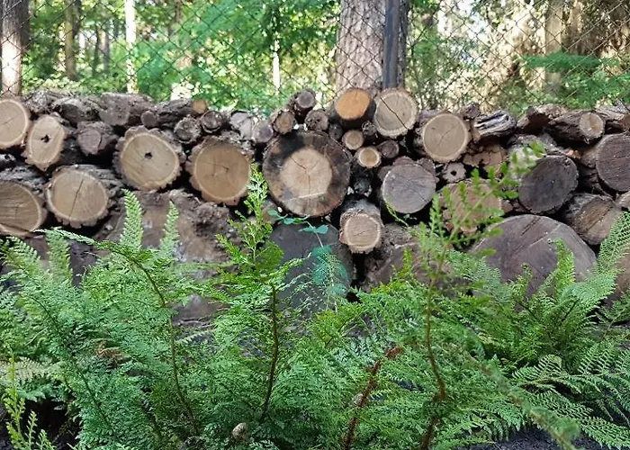 Kleine Auszeit - Im Gruenen *